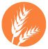 Gluten